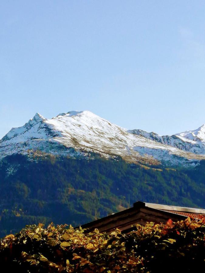 Haus Jessica Incl National Park Sommercard Mittersill Zewnętrze zdjęcie