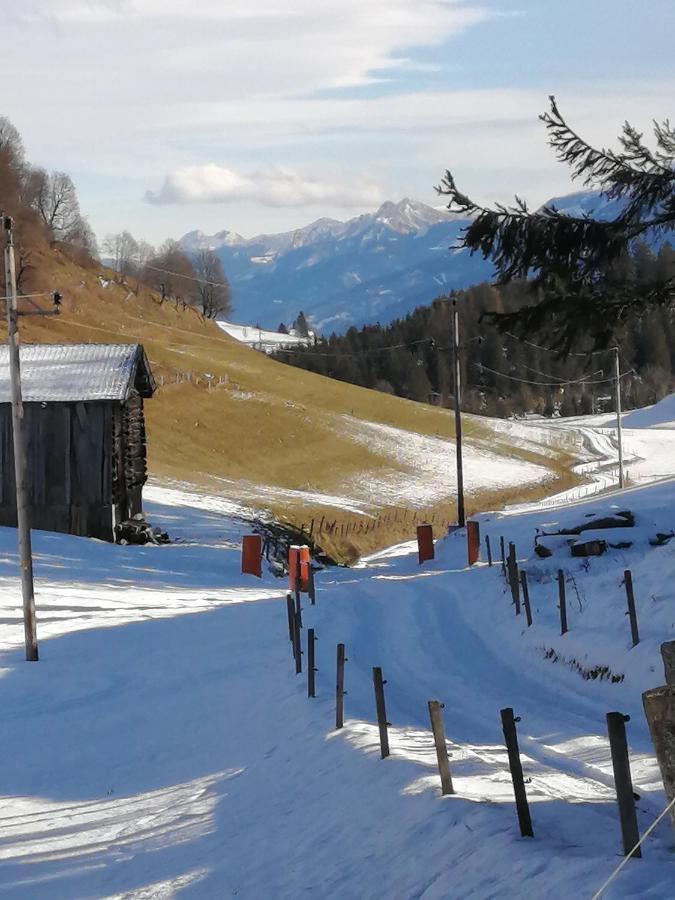 Haus Jessica Incl National Park Sommercard Mittersill Zewnętrze zdjęcie