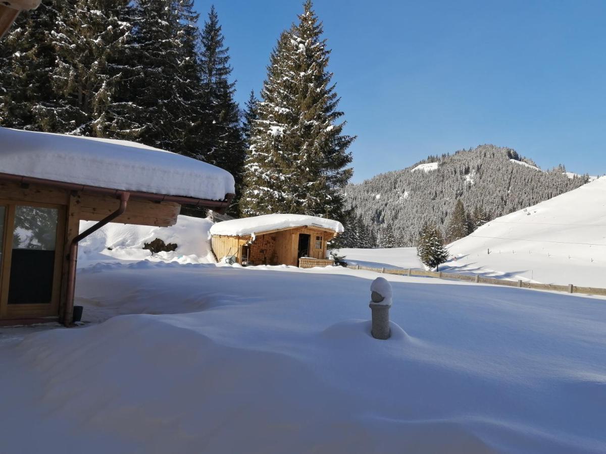 Haus Jessica Incl National Park Sommercard Mittersill Zewnętrze zdjęcie