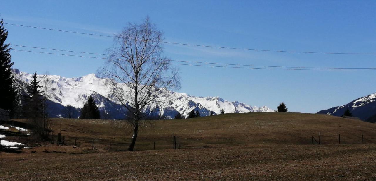 Haus Jessica Incl National Park Sommercard Mittersill Zewnętrze zdjęcie