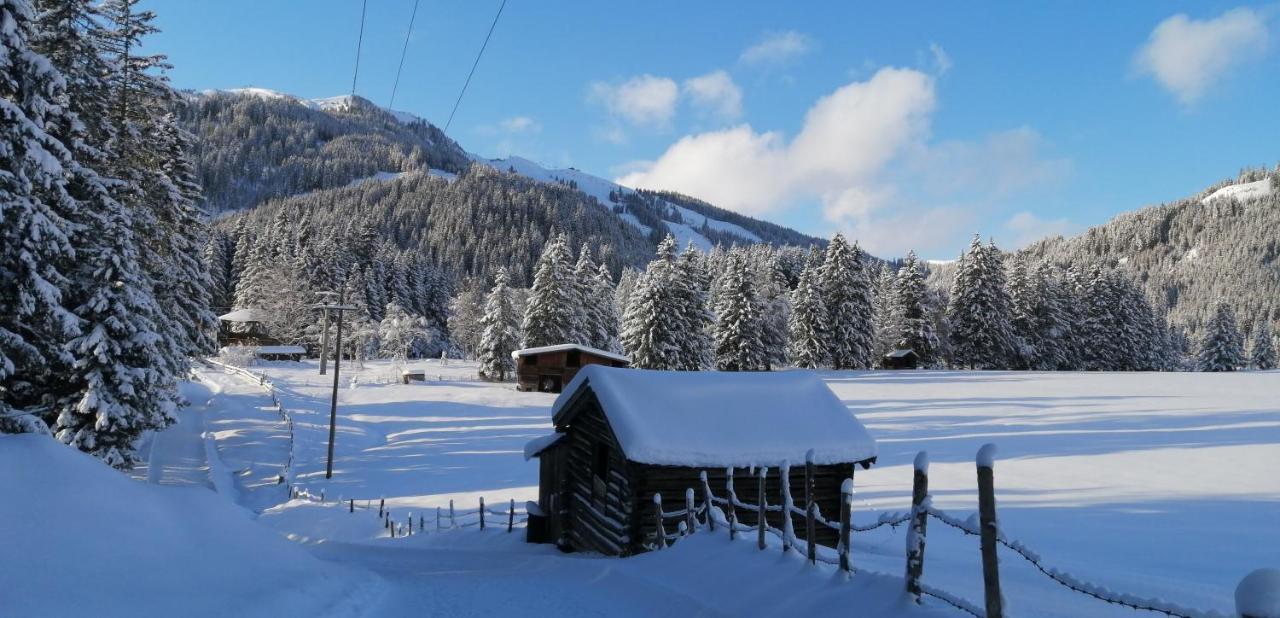 Haus Jessica Incl National Park Sommercard Mittersill Zewnętrze zdjęcie